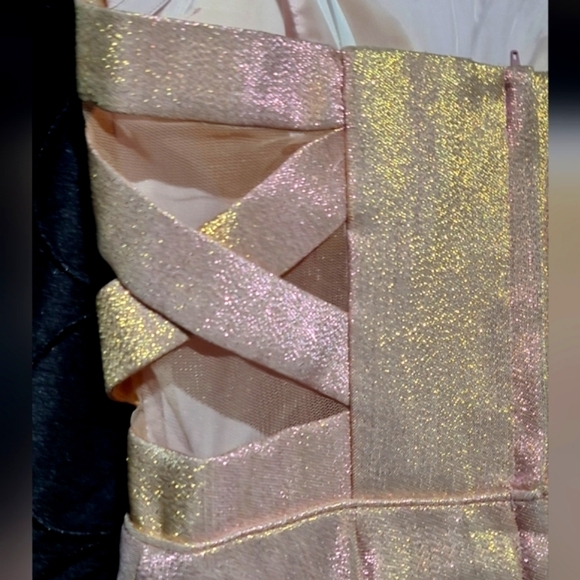 Shimmering Pink Dress - Picture 3 of 6